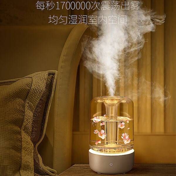 #加湿器 #格林盈璐 #生活日用 【京东】【领券直降】格林盈璐 加湿器家用卧室办公室桌面上加水空气大雾量增湿杀菌水果鲜花香薰补水取暖伴侣七彩加湿器 透明可视加湿器———————京东价