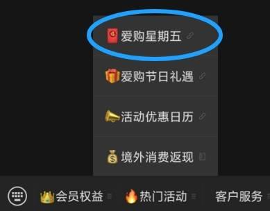 vx公主号