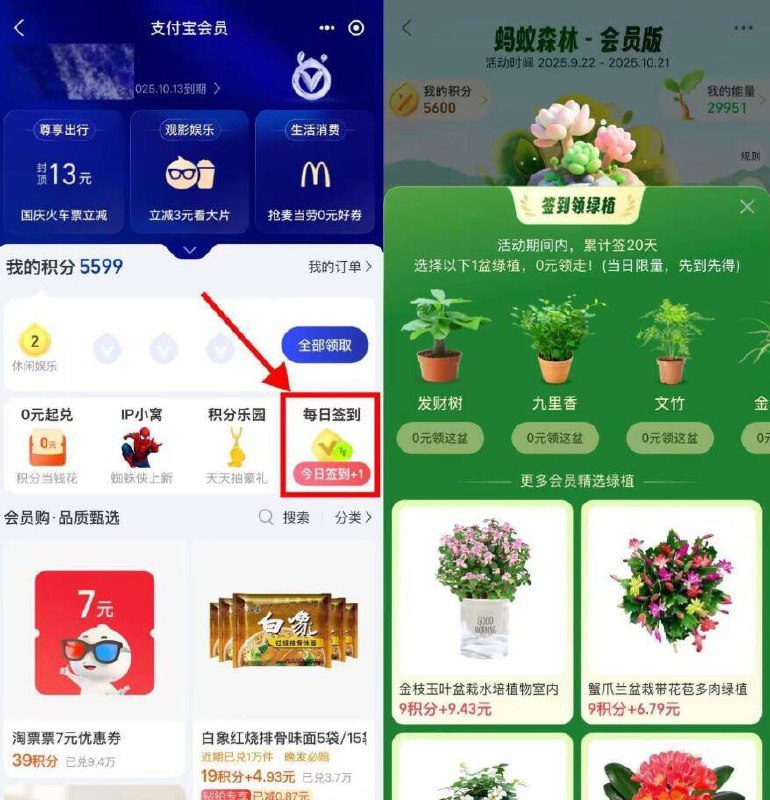 zfb搜