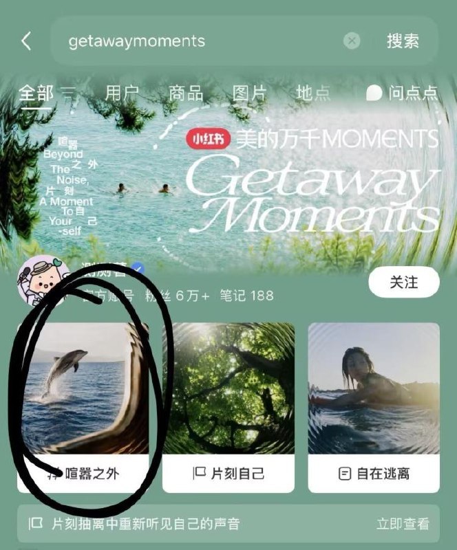 小红薯搜